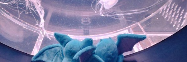 color_96810 Profile Banner