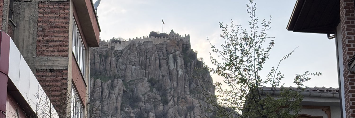 rapnzelden's profile banner image