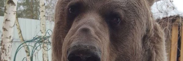 large_mp4 Profile Banner