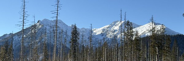 PerformWilde Profile Banner