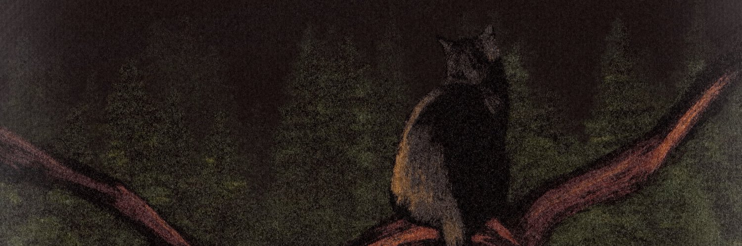 Liissaa__2's profile banner image