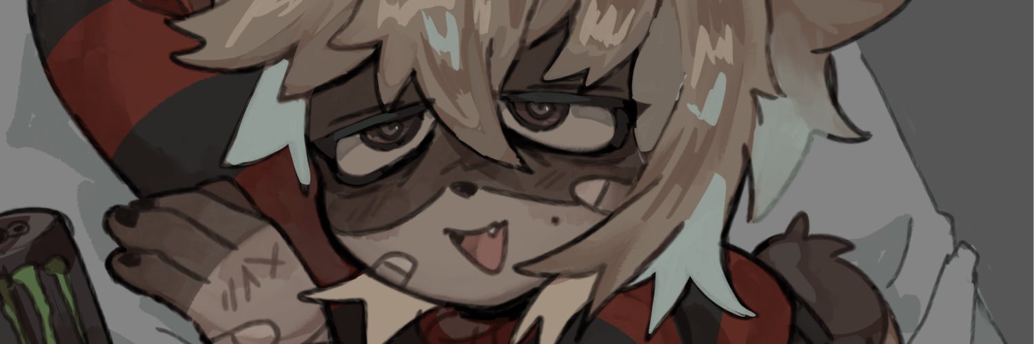 miriccoon banner