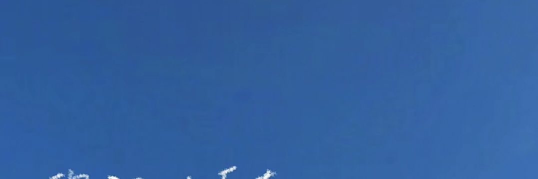兔子胡萝卜 banner