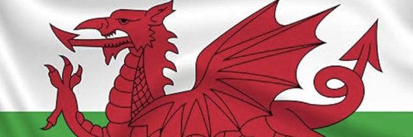 WISEGB Profile Banner