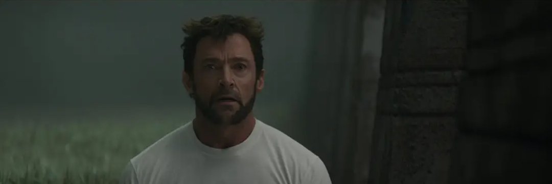 Punisher's banner
