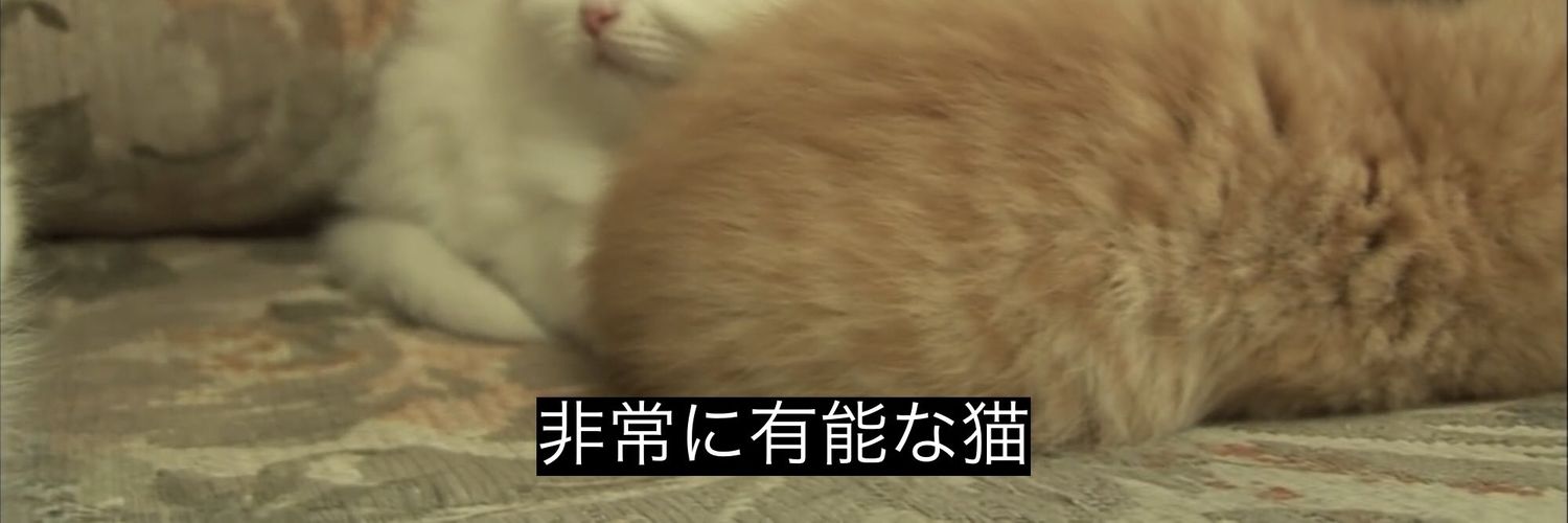 aniking09's profile banner image