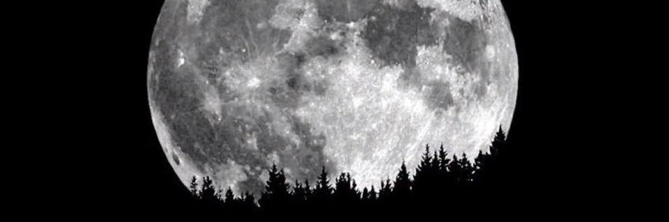 Kimberly 🌸 banner