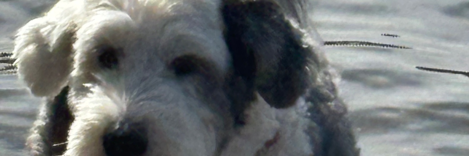 Winnie girl's banner