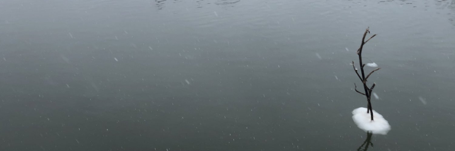 Catzenpup_Gary's profile banner image