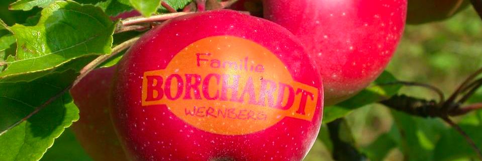 bauerborchardt's profile banner image