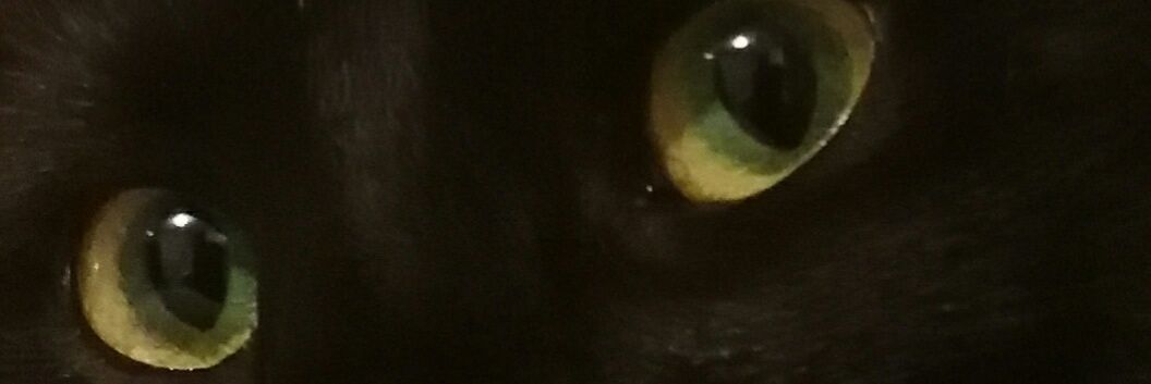 Özgür Hakan Aslan banner