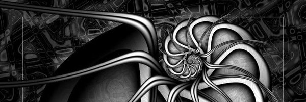 cryptt_here Profile Banner
