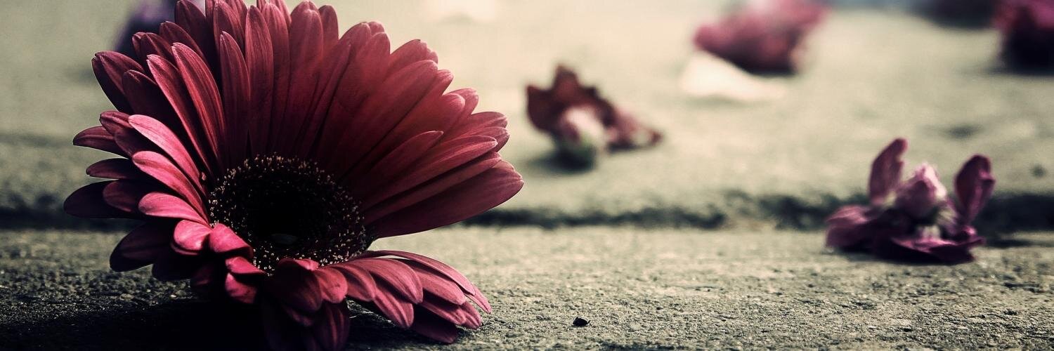 satish1707's profile banner image