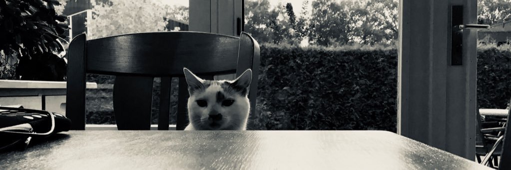 marloesschrijft's profile banner image