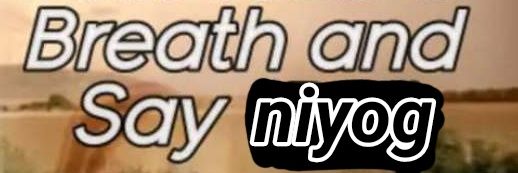 Professional Sand banner