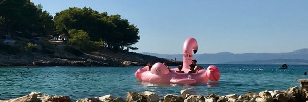 lily_vernon Profile Banner