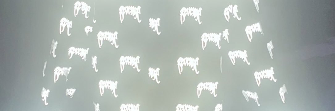 cici ! banner