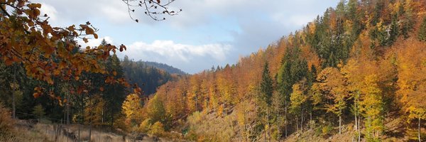 Ziaber Profile Banner