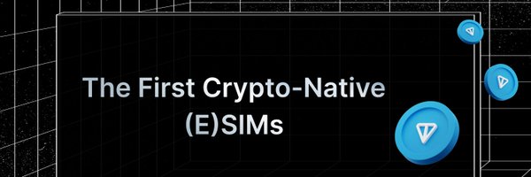 depinsim Profile Banner