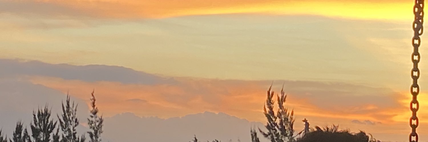 fpagurut's profile banner image