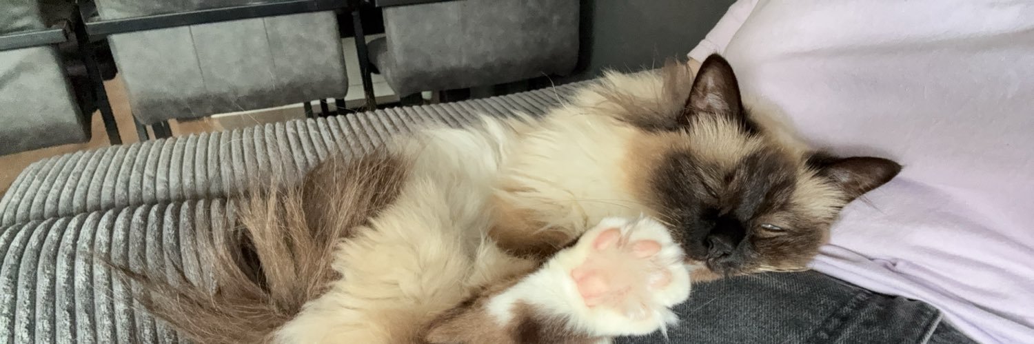 gibbertjes's profile banner image