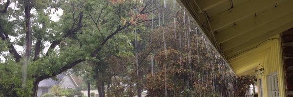 NKTbabz Profile Banner