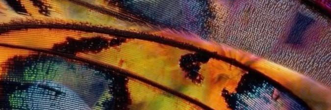 Idlatac0's profile banner image
