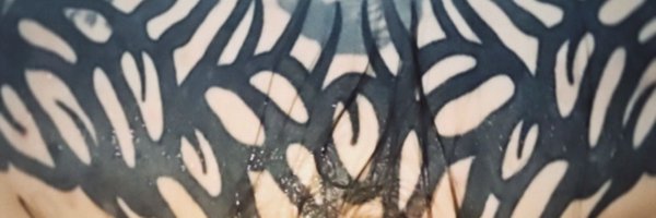 mooellALT Profile Banner