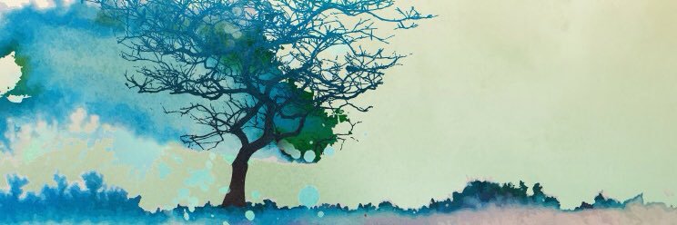 picklemilk's profile banner image