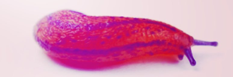 Yumiko Shinozaki banner