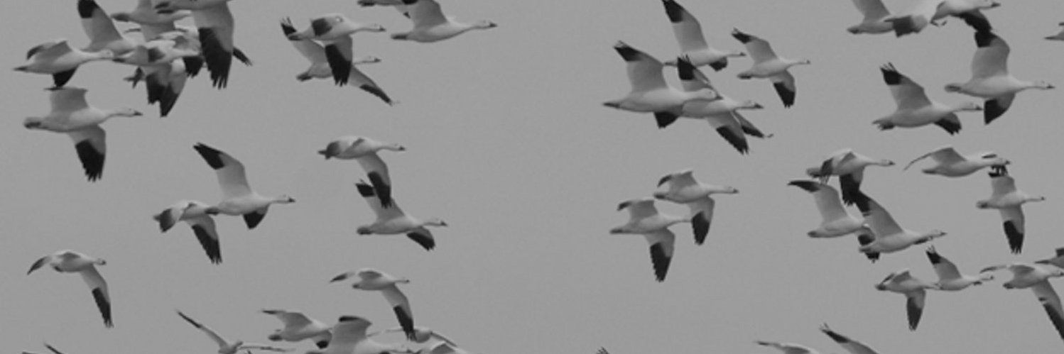 Fundraising Kongress banner