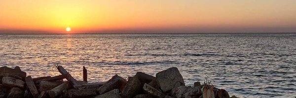 os_sh_20 Profile Banner