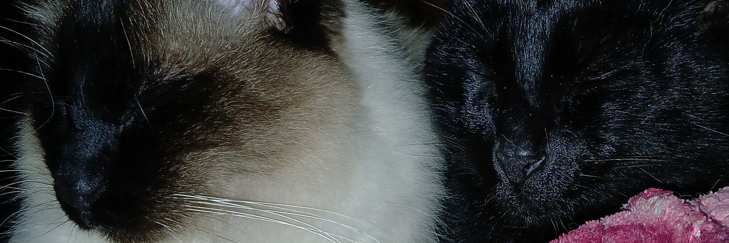 maab1s's profile banner image