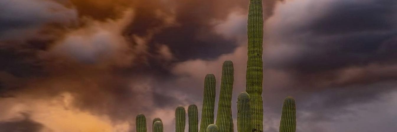 ymhubble's profile banner image