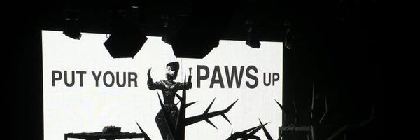 shedana Profile Banner