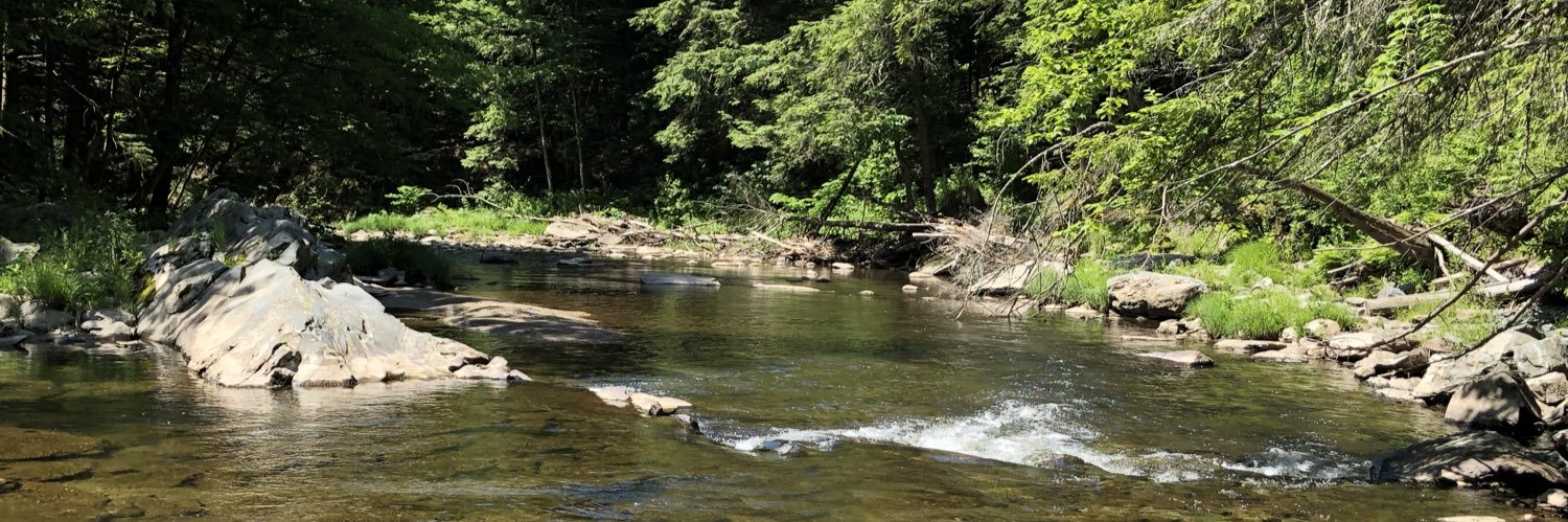 CM 🇺🇦🌻 banner