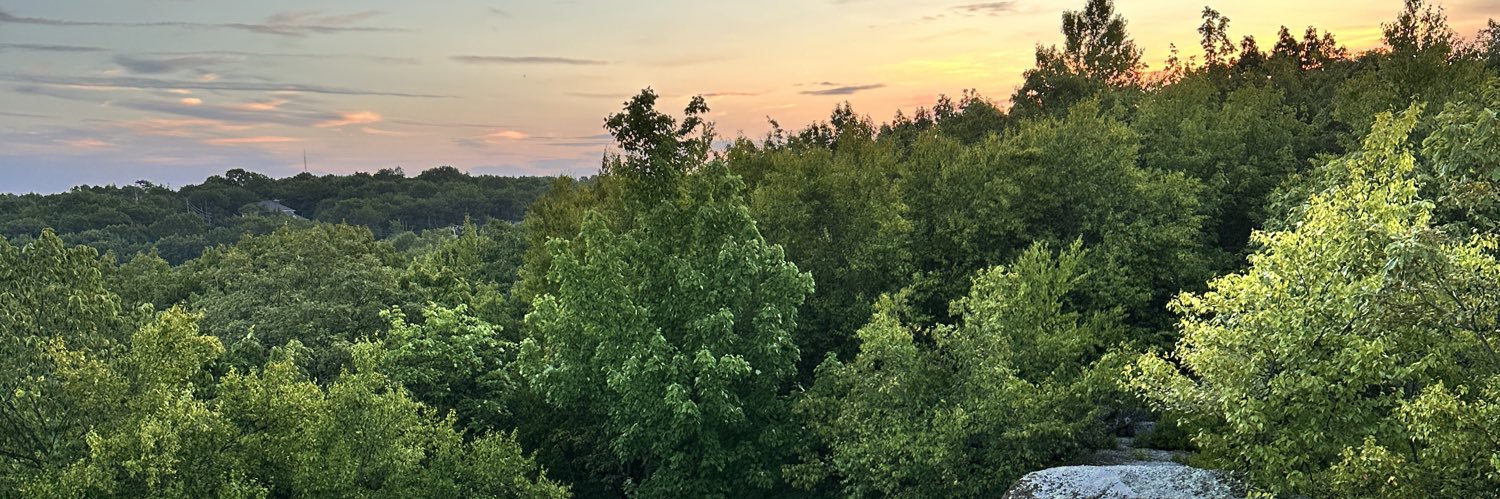 MrFsh🦇🖤 banner