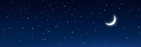 Bird_Is_My_Word Profile Banner