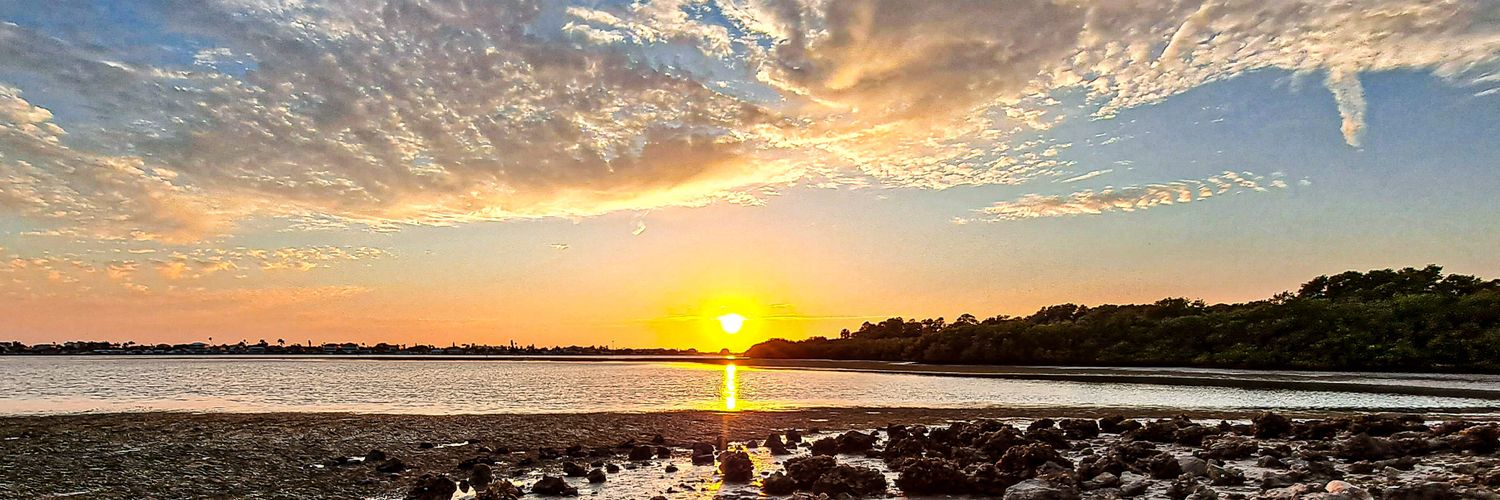 Albert Blackwell banner