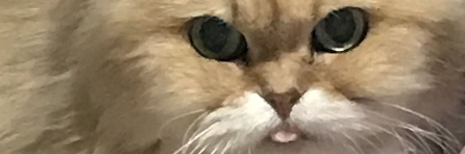 nya4545's profile banner image