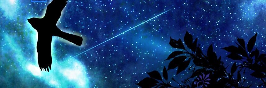 torute_teruto's profile banner image