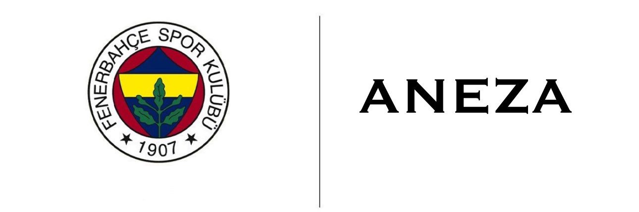 ANEZA1907's profile banner image