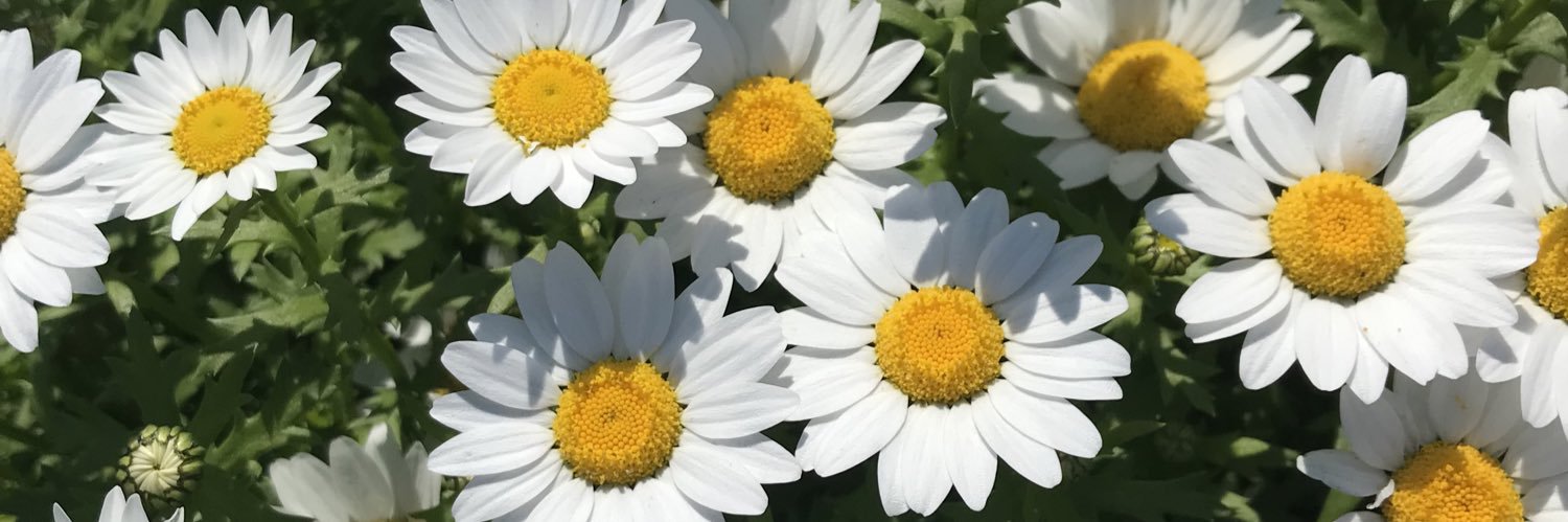 LL0821O's profile banner image