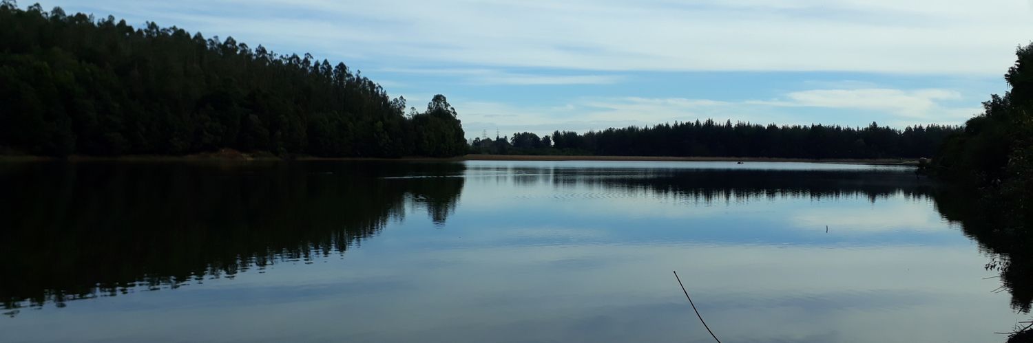 Camila Mellado banner