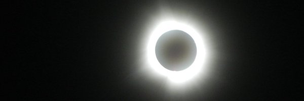 sulk173869420 Profile Banner