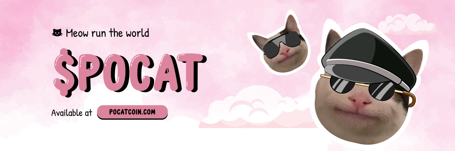 Polite Cat 😼 banner