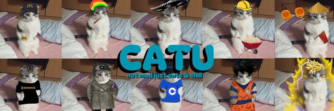 Catu the Cat banner