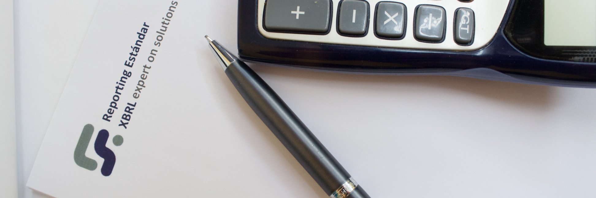 Reporting Standard XBRL banner
