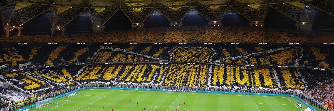 BOGUS banner