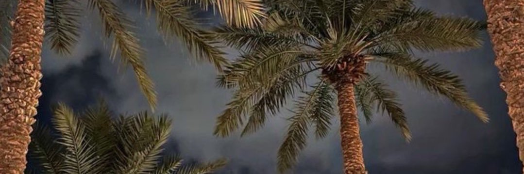 مَ banner